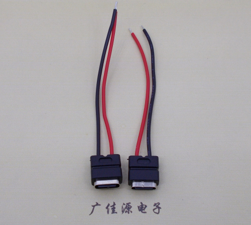 广元type c2p防水母座焊线式带线注塑成型带接线端子/不带接线端子充电连接器
