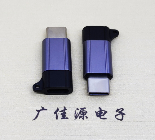 广元Type-C母转Type-C公 USB3.1 PD100W快冲接口